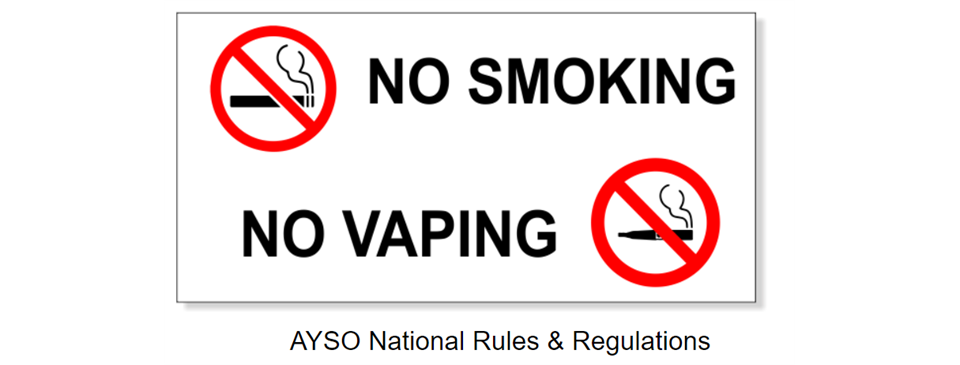 No Smoking or Vaping